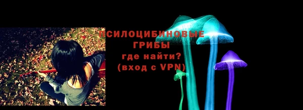 mdma Новодвинск