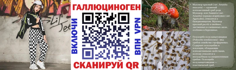 Галлюциногенные грибы прущие грибы  Динская 