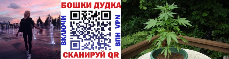 Бошки марихуана Bruce Banner  МЕГА ссылки  Динская 